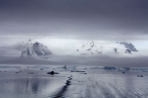 ice floes antarctica water