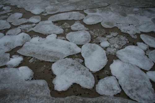 ice floes baltic sea beach