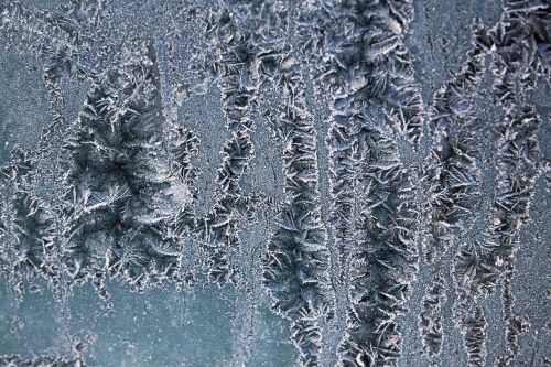 ice flowers hoarfrost frost
