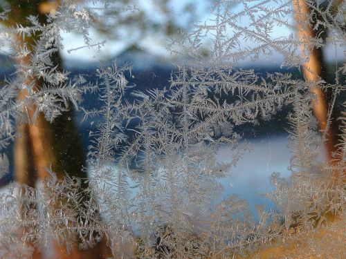 ice flowers glass window