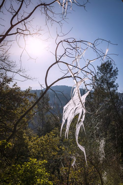 ice formation natural sculpture ephemeral