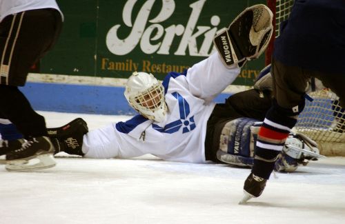 ice hockey goalie goal