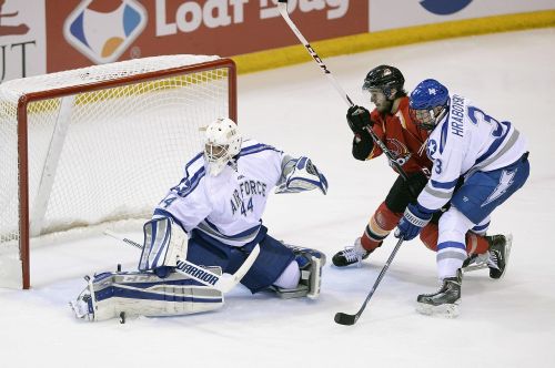 ice hockey goalie goal