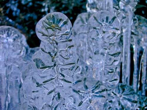 Ice Plant