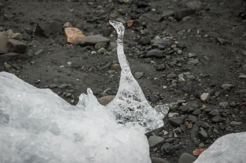 ice sculpture nature frozen