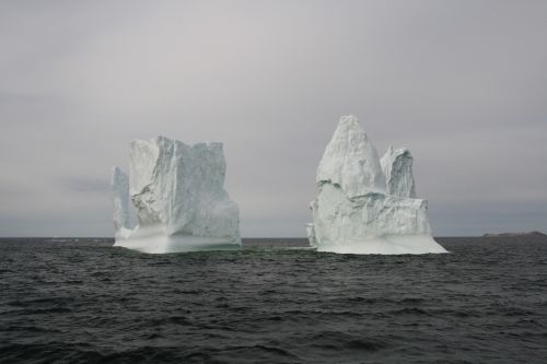 iceberg newfoundland ocean