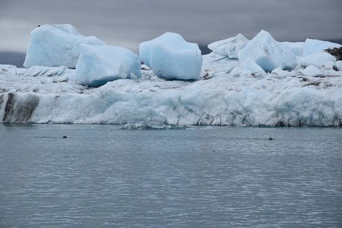 iceberg  body of water  ice