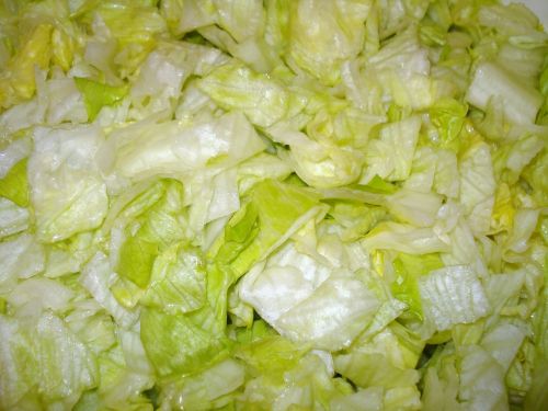 iceberg lettuce salad head of lettuce