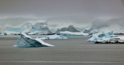 icebergs antarctica sea