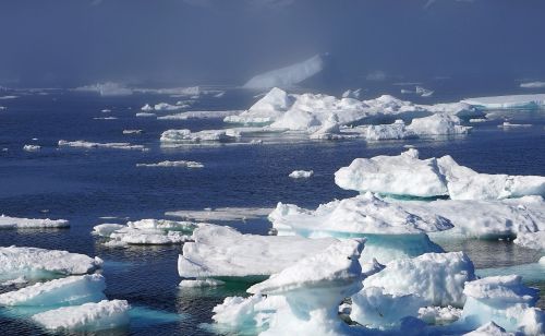 icebergs sea ice