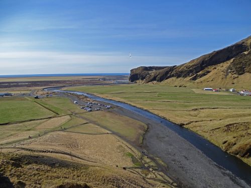 iceland seagull view