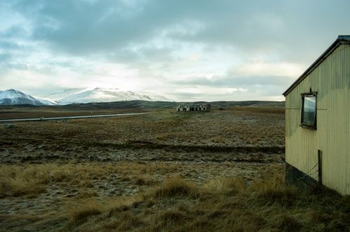iceland pastures cold