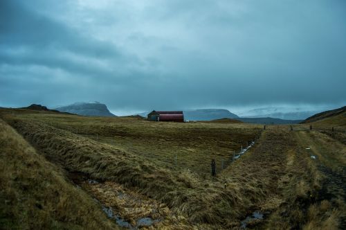 iceland pastures cold