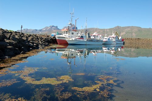 iceland  travel  harbour
