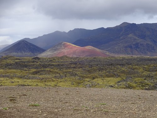 iceland  mountain  moss