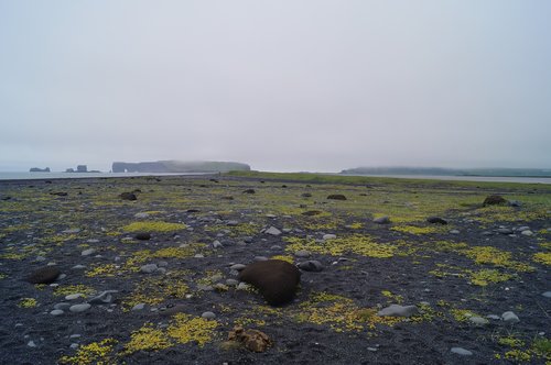 iceland  landscape  black beach