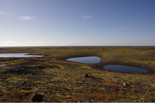 iceland landscape skaftafell