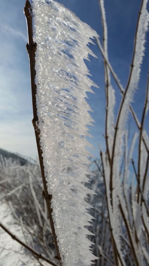 icicle winter frozen