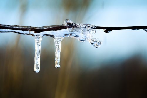 icicle winter ice