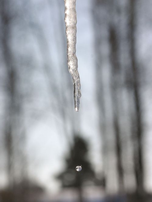 icicle winter sweden