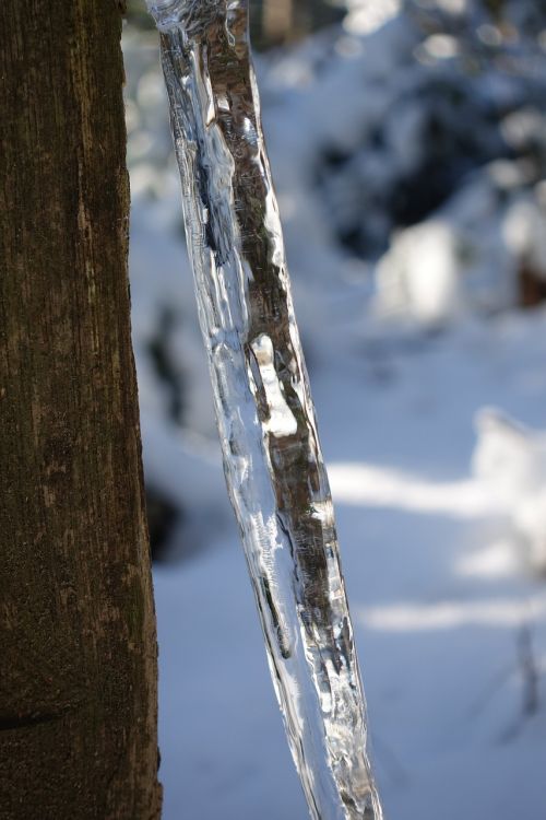 icicle ice frozen