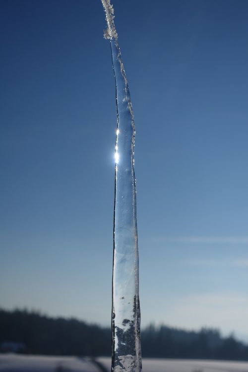 icicle ice frozen