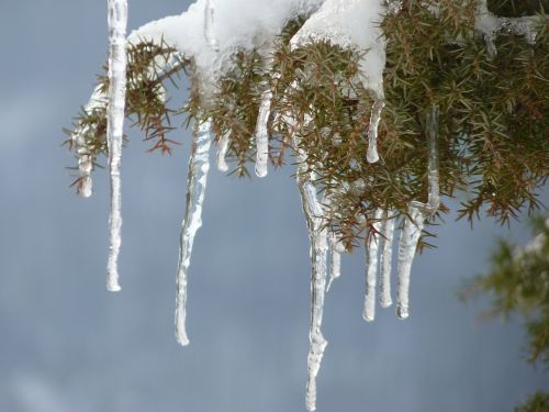 icicle ice winter