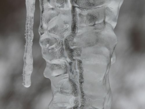 icicle ice winter