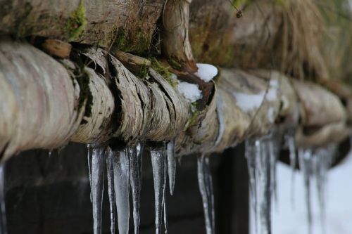 icicle wood cold