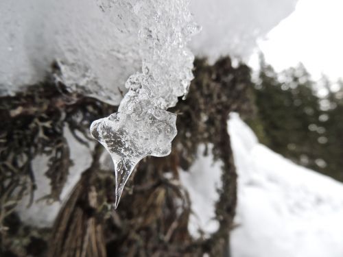 icicle water winter