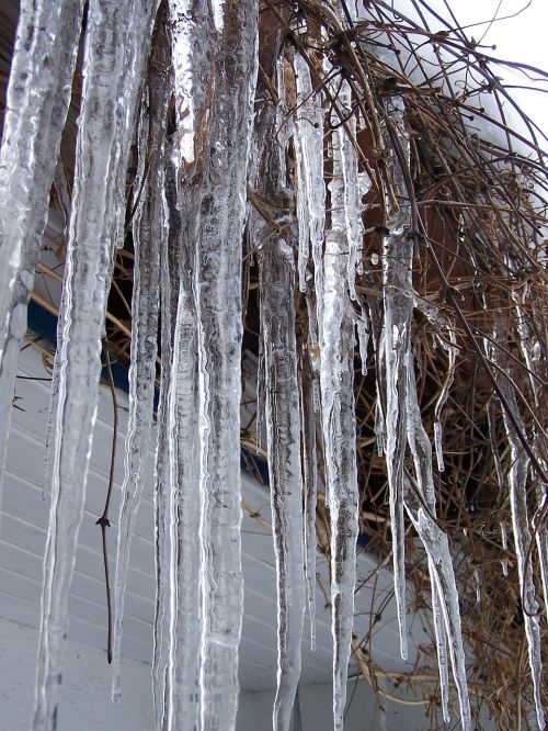 icicle winter cold