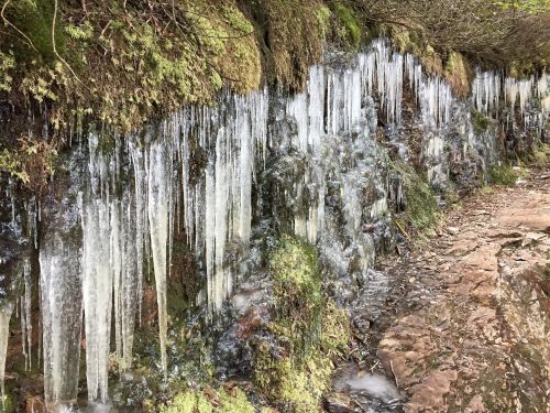 icicles cold winter