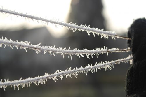 icing winter wire