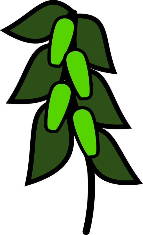 icon green peas plants