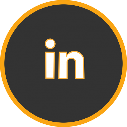 icon in linkedin social networks