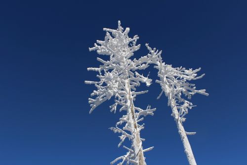 winter frost icing