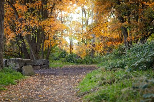 idaho path fall