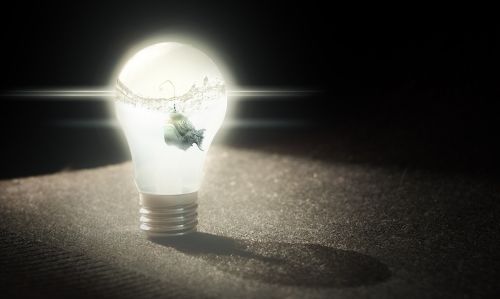 idea important light bulb
