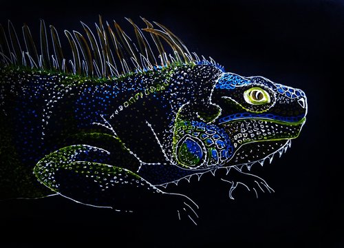 iguana  lizard  jungle
