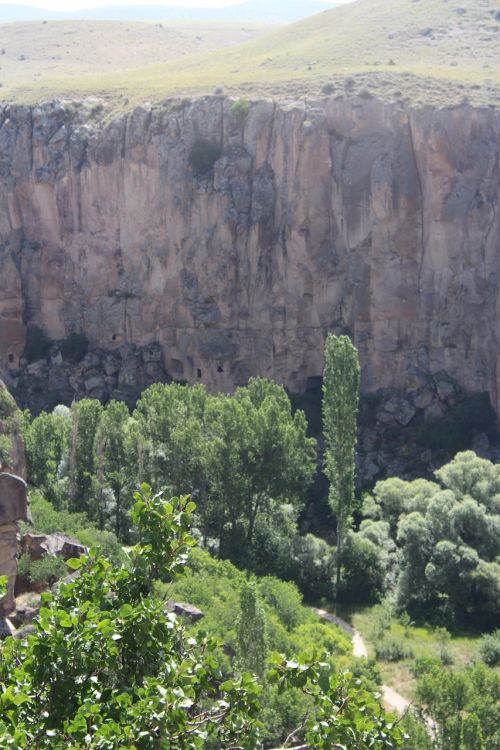 ihlaravalley cappadocia tree