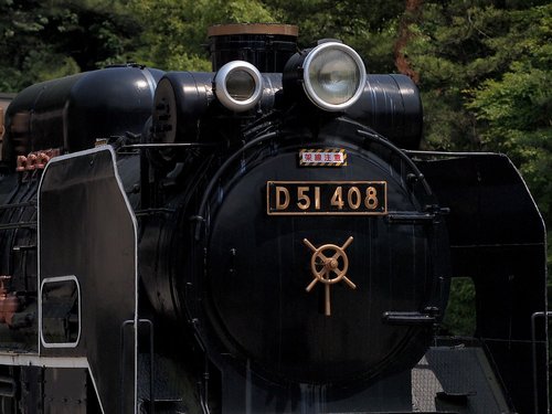 ikuta ryokuchi  locomotive  d51