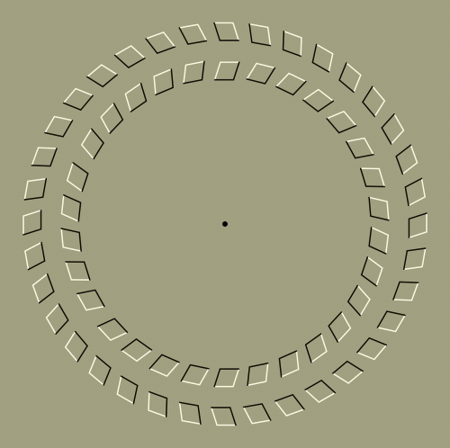 illusion movement circle