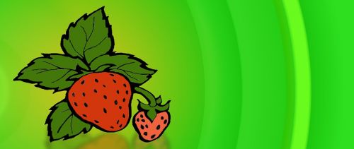 illustration banner strawberry