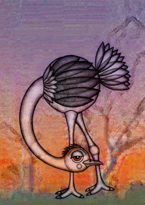 ostrich illustration drawing