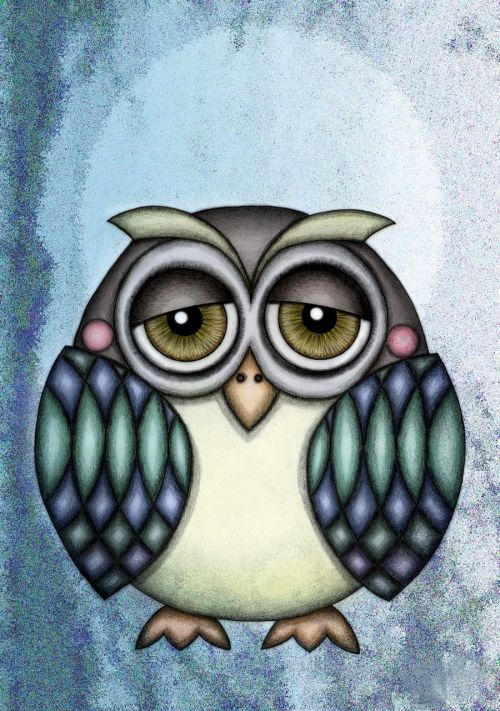 owl illustration drawing