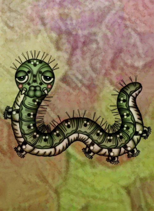 illustration drawing worm