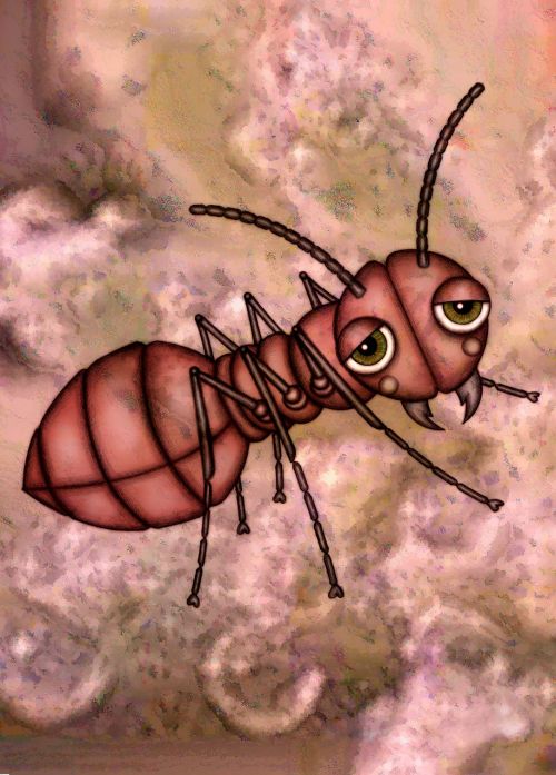 illustration drawing ant