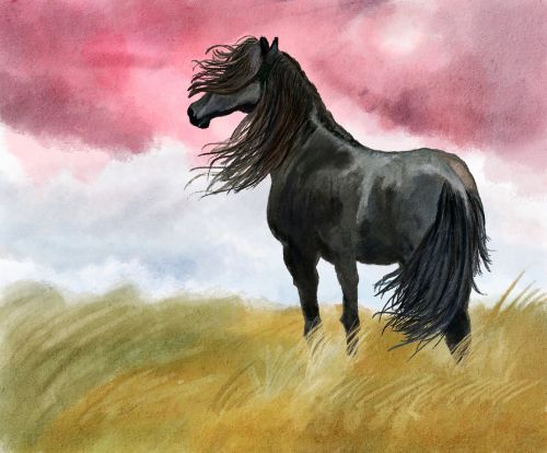 illustration horse meadow