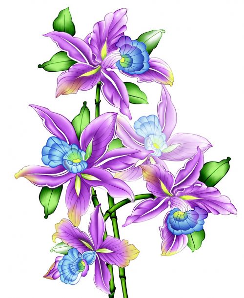 illustration vintage flowers watercolor flowers