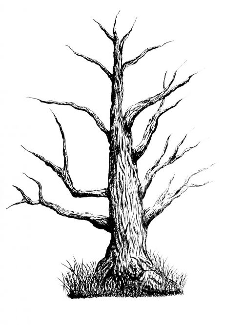 illustration black and white ink